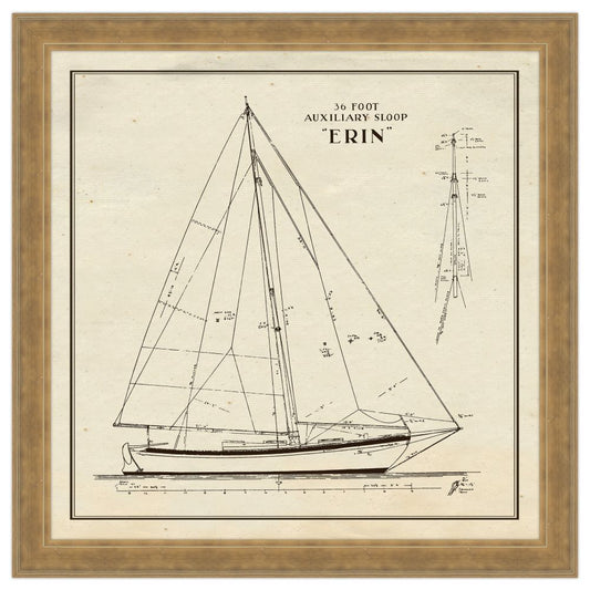 Erin II