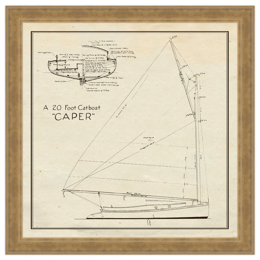 Caper