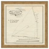 Caper