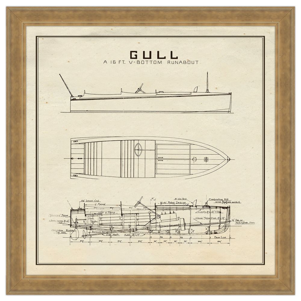 Gull