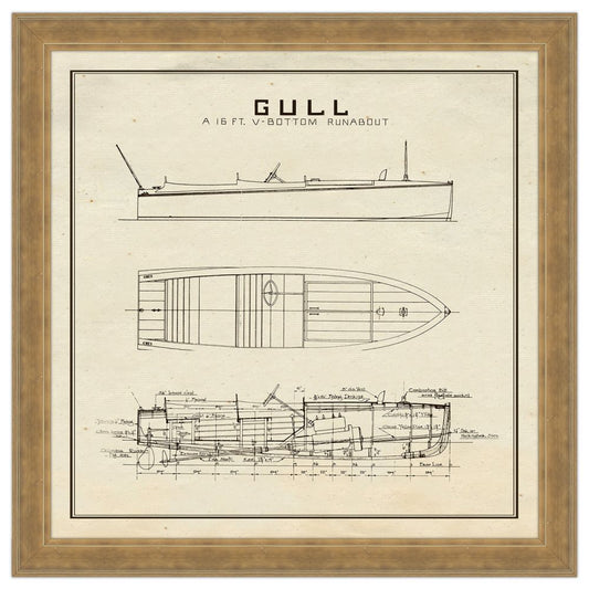 Gull