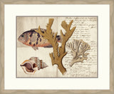 Sealife Journal I