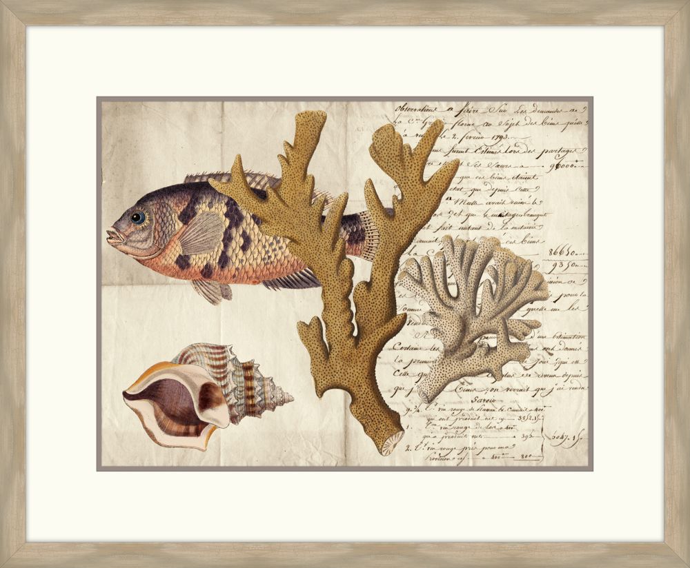 Sealife Journal I