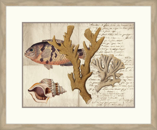 Sealife Journal I