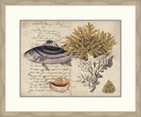 Sealife Journal III