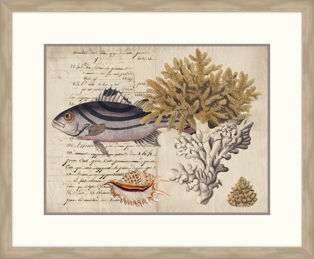 Sealife Journal III