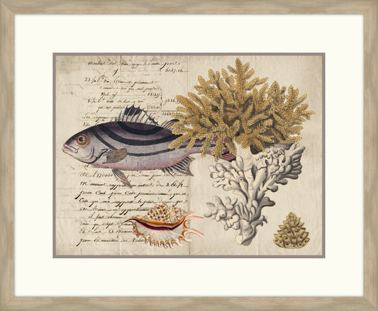 Sealife Journal III