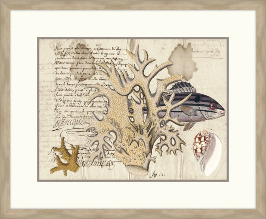 Sealife Journal IV