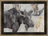 Alces Trail I