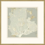 Sea Coral I
