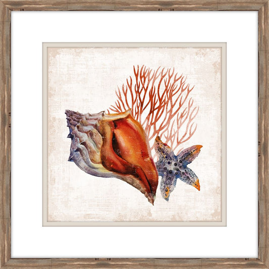 Sunset Sea Life I