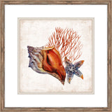 Sunset Sea Life I