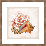 Sunset Sea Life II