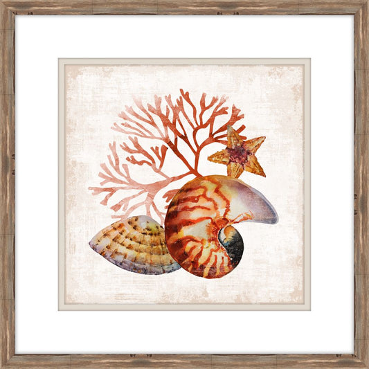 Sunset Sea Life III