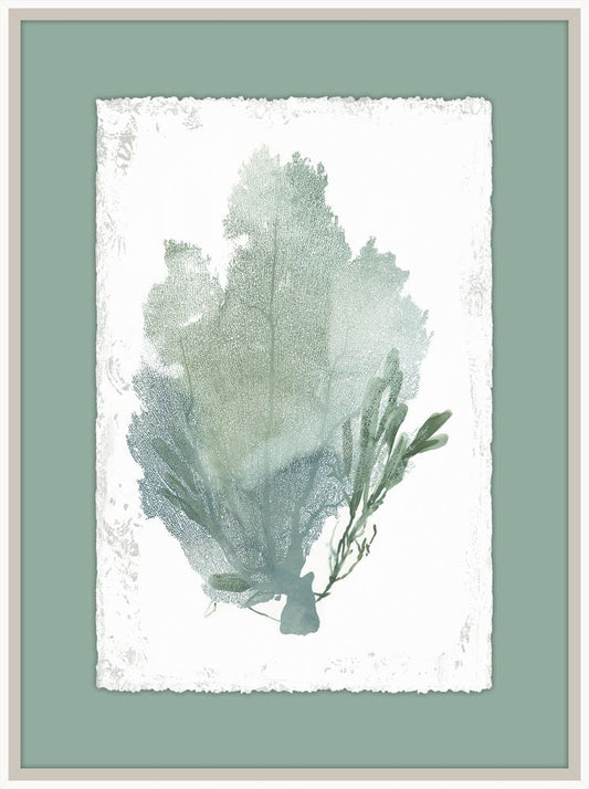 Teal Delicate Coral I