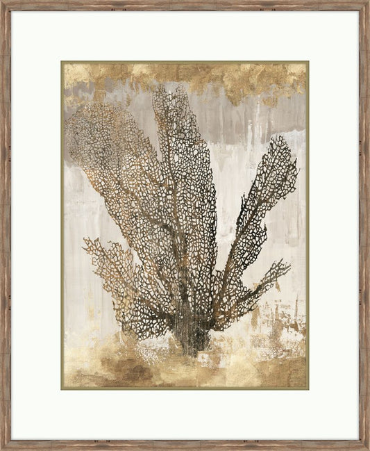 Coral Splendor I