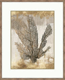 Coral Splendor I
