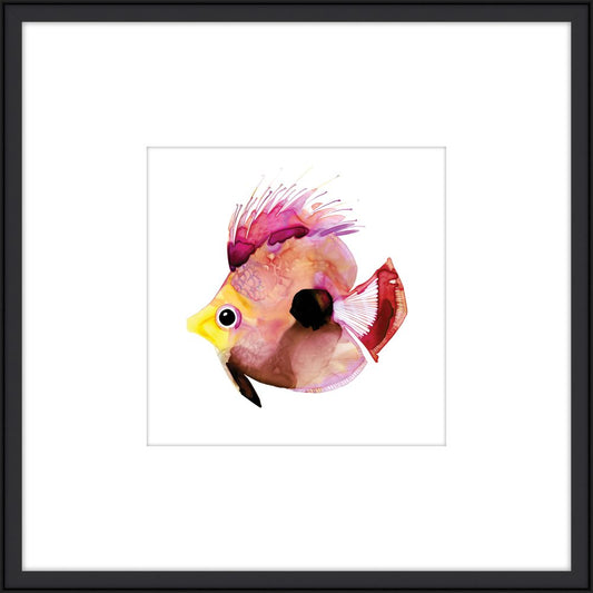 Pink Fish