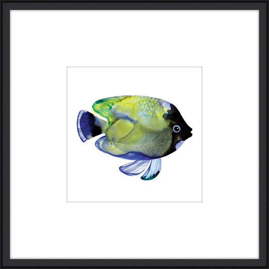 Green Fish
