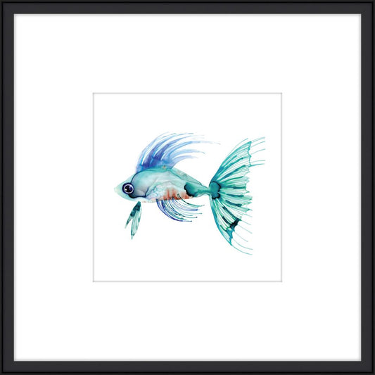 Teal Fish