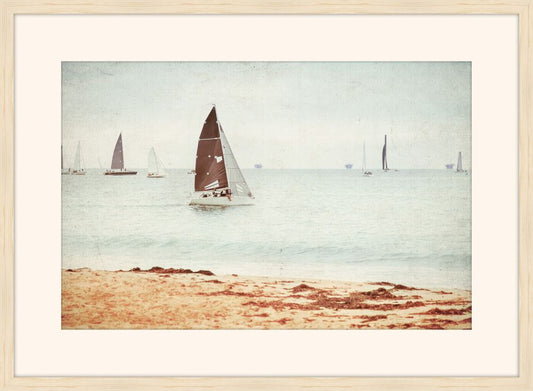 Sailboat in the Water