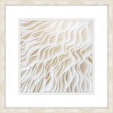 White Coral I