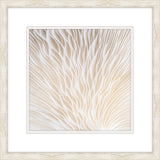 White Coral IV