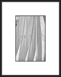 Sailor's Abstract V