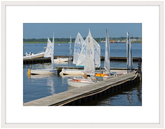 Racers at the Dock