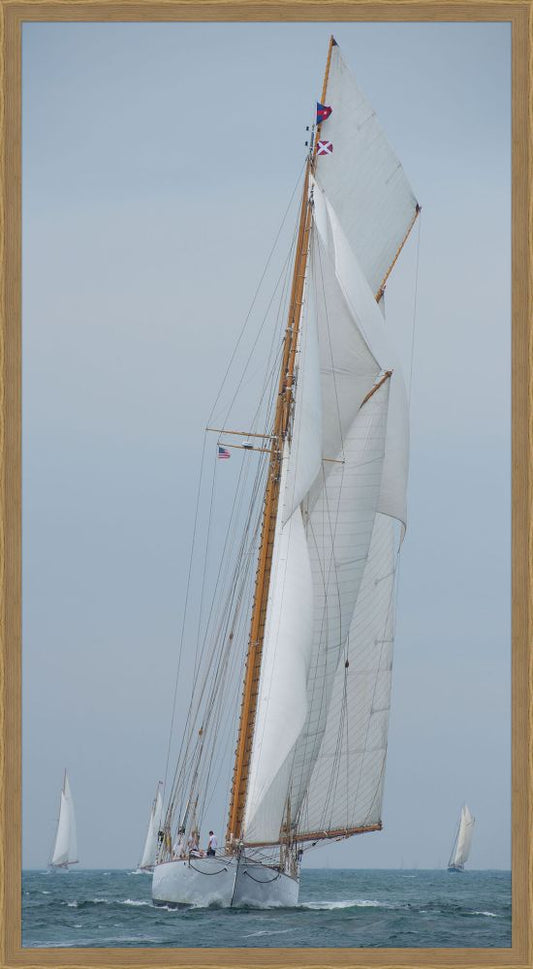 Whites Sails