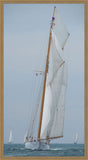 Whites Sails