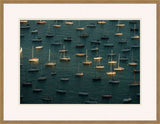 Fleet of Sailboats on Teal Water