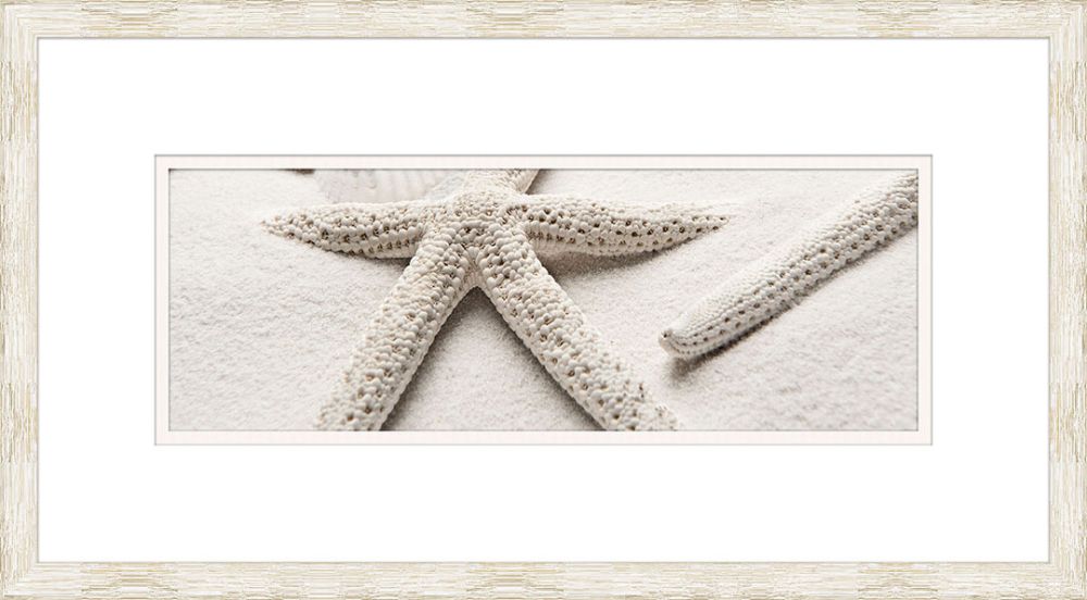 Star fish