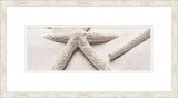 Star fish