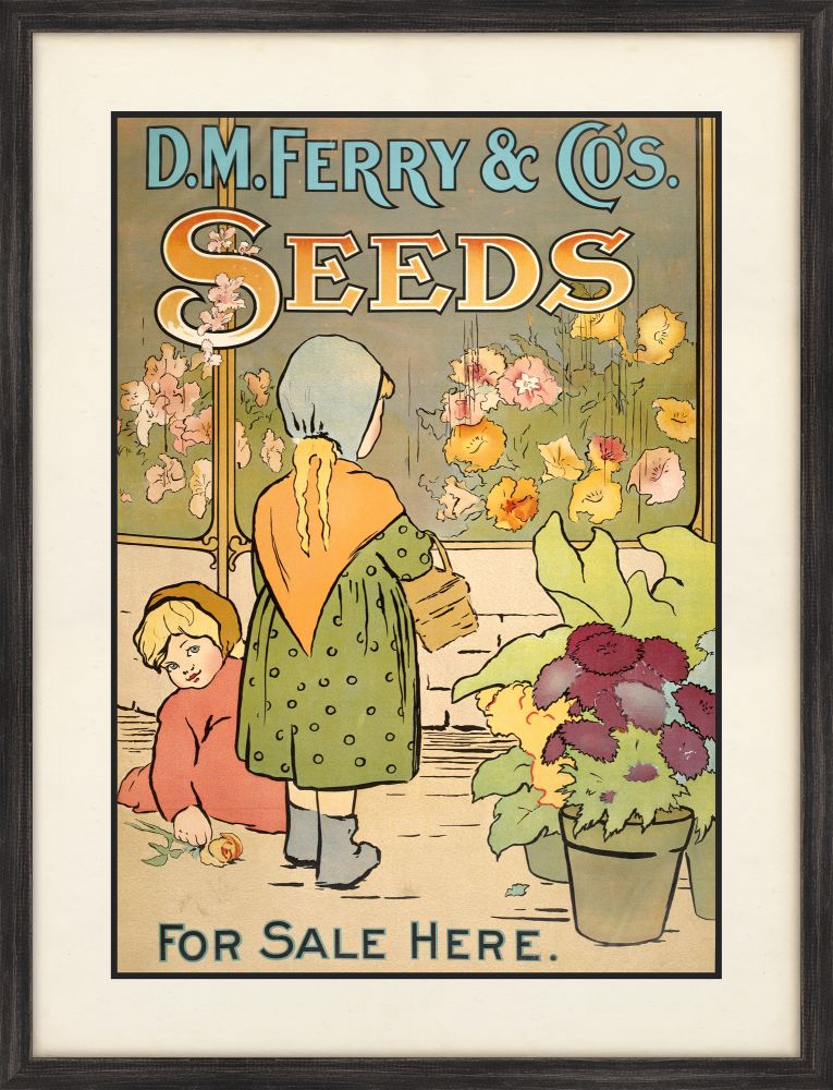 Ferry Seeds II