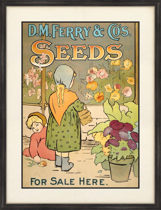 Ferry Seeds II