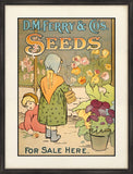 Ferry Seeds II