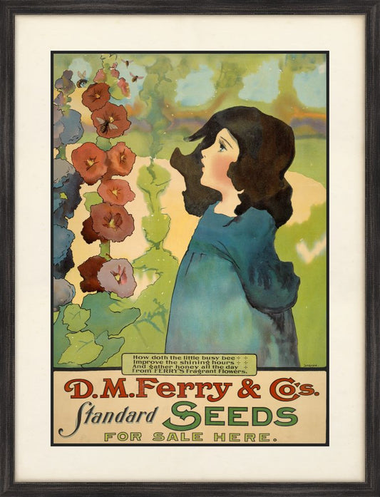 Ferry Seeds III