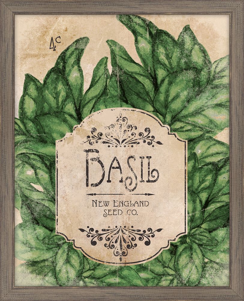 Seed Packet Basil
