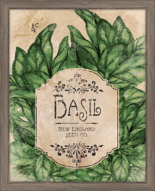 Seed Packet Basil