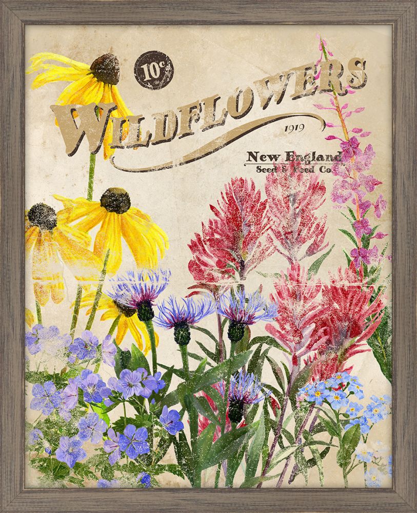 Seed Packet Wildflowers