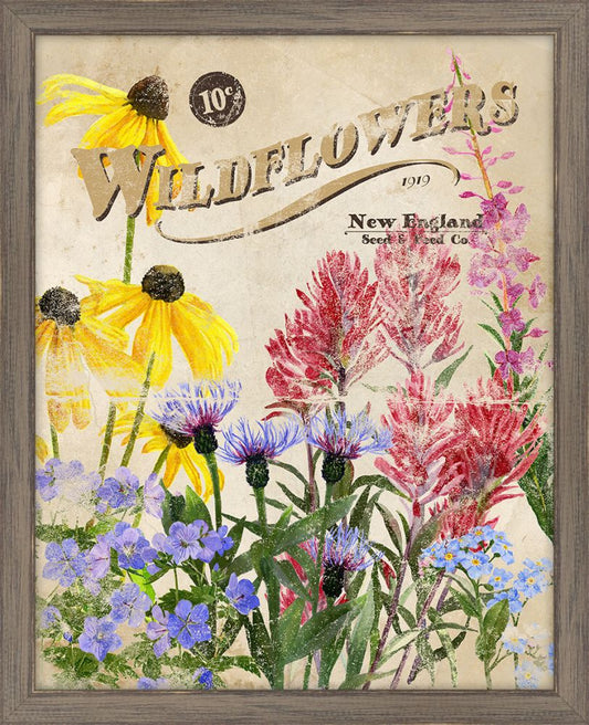 Seed Packet Wildflowers