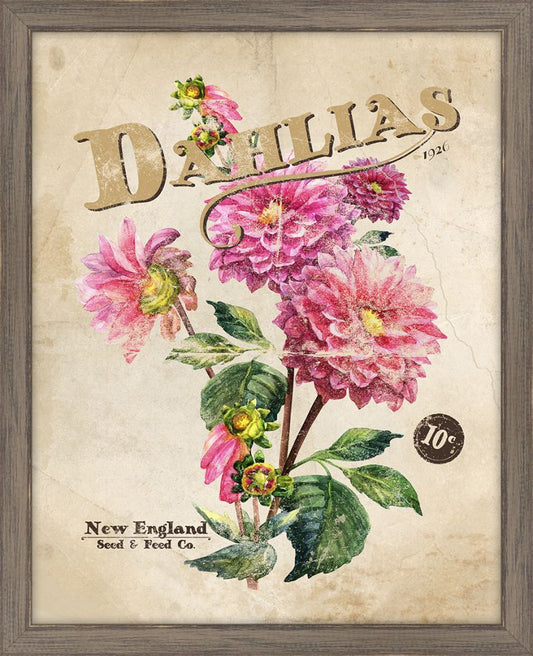 Seed Packet Dahlias