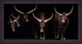 Watusi Family