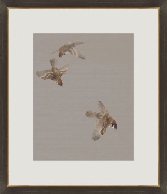 Birds on the Branch III