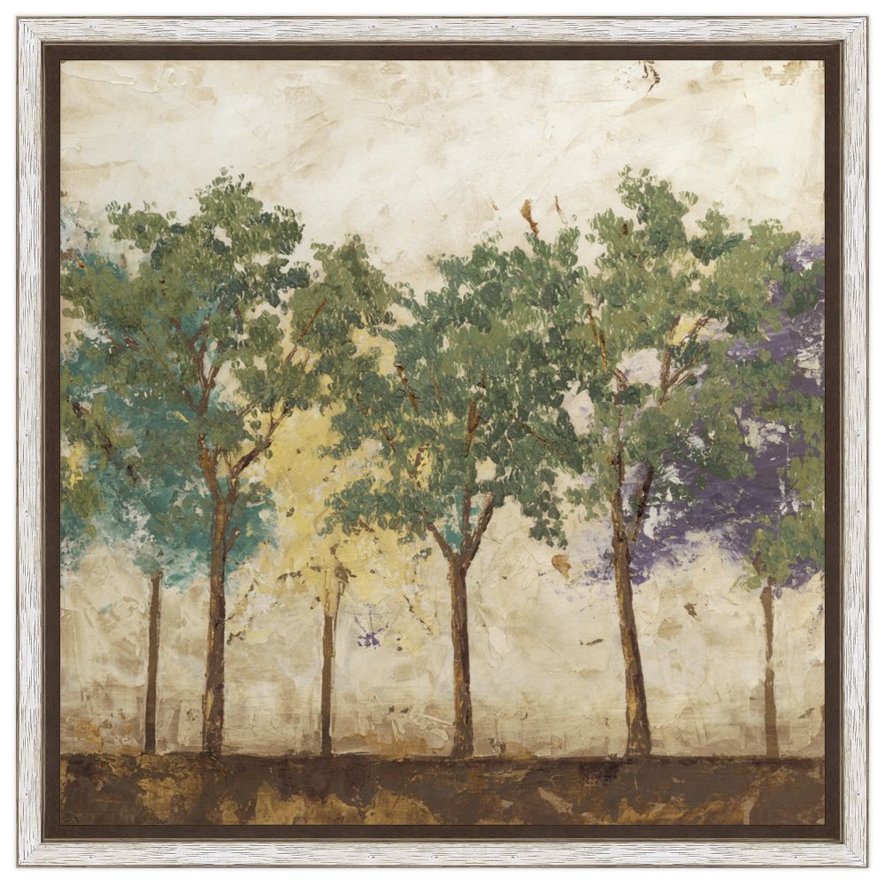 Arbor Discourse I