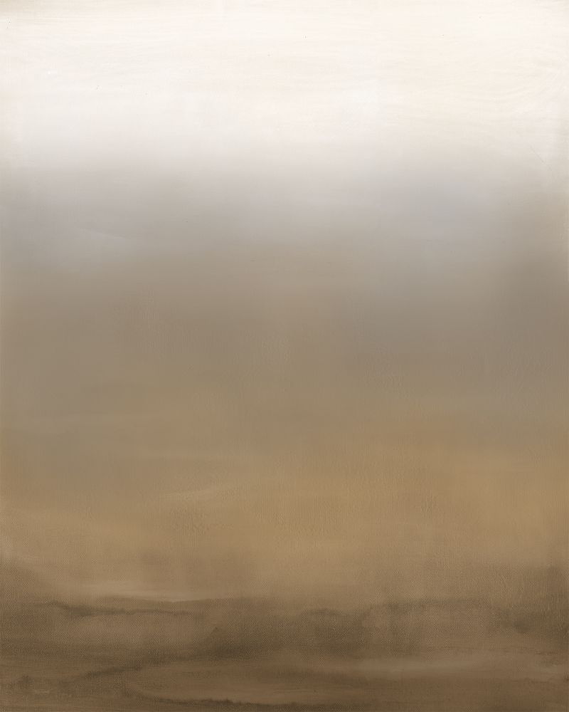 Desert To The Sun II Boxed Canvas