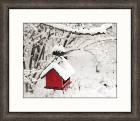 Red Birdfeeder
