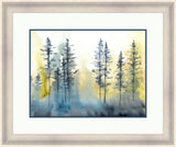 Shadow Forest I