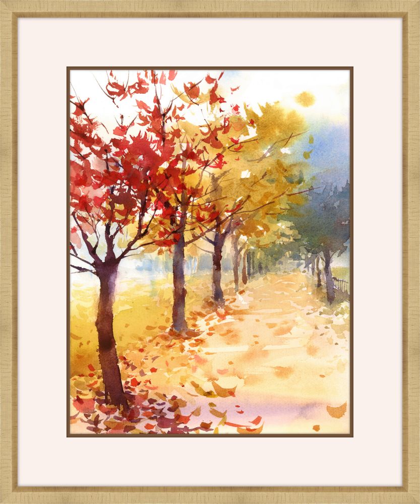 Autumn Walk